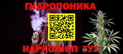 стаф Кунгур