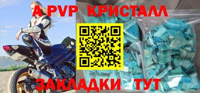 стаф Кунгур