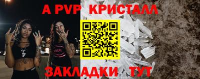 стаф Кунгур