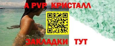 стаф Кунгур